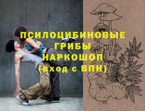 спиды Арсеньев