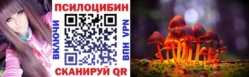 Псилоцибиновые грибы Psilocybe  Строитель 